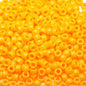 595e2dfe-6330-4b5f-b334-7d781e19a64a